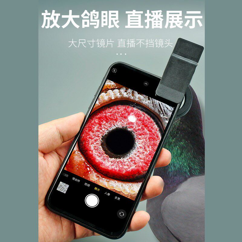 鸽眼放大镜信鸽用品手拍摄鸽子眼镜倍微距拍照装