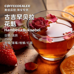咖啡丢了古吉罕贝拉花魁埃塞俄比亚原生种浅烘日晒精品咖啡豆250g