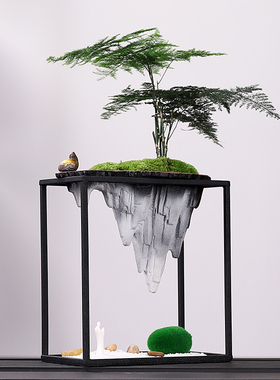 新客厅绿植办公室文竹盆景假山酒柜装饰摆设