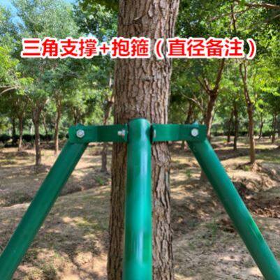 树木支撑架大树固定器铁抱箍防风支扶移栽镀锌钢管绿色烤漆