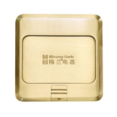 梅兰日兰型铜弹式 防水多媒体隐藏木 五地