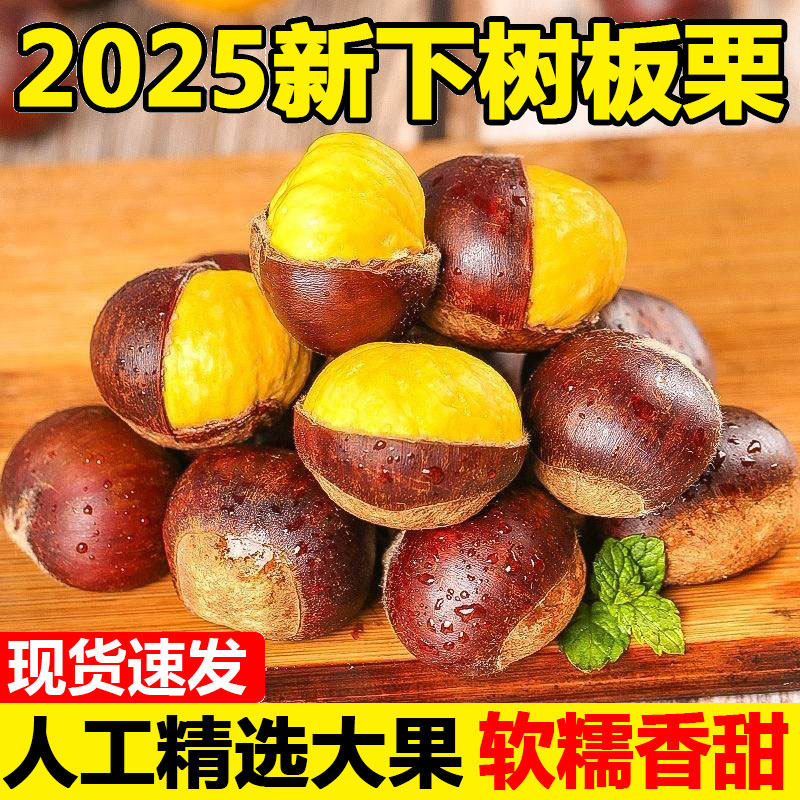 板栗生新鲜当季2025新鲜嫩野生板栗毛栗子农家板栗非锥栗小油栗子