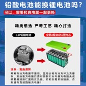 电动喷雾器池大容量背负式 农用新型喷雾器蓄电池