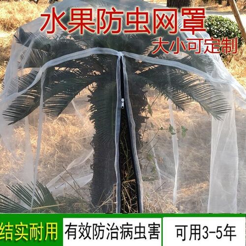 杨梅网罩树防虫网网罩莲雾蓝莓网桃树防鸟网网罩大棚网罩