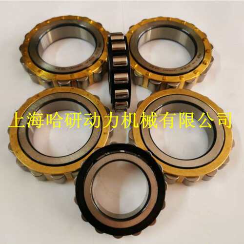 RN无外圈RN415ECM轴承 RN415ECP圆柱轴承 RN415ECJ圆柱滚柱轴承
