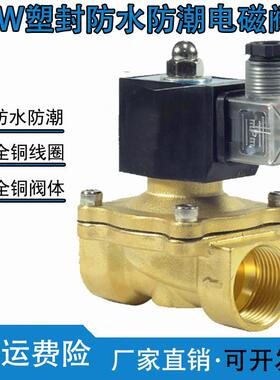 室外防水防雾防潮电磁阀水阀开关阀220VDC24V气阀排水DC12V4分6分
