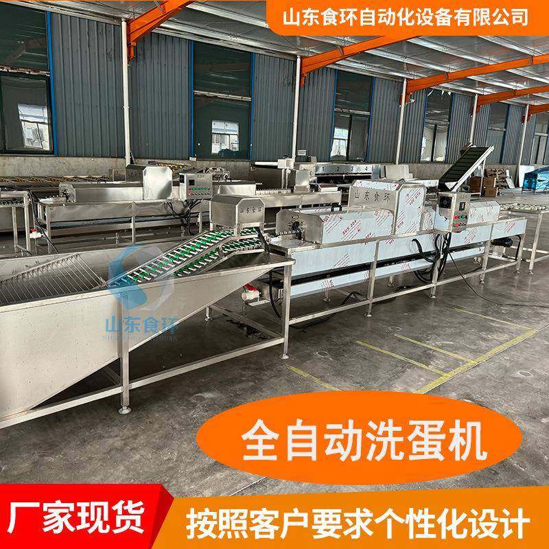 无菌蛋杀菌洗蛋机蛋电子重量分级商用鸡鸭蛋类洗蛋机全自动洗蛋机,清洗/食品/商业设备,其他食品加工设备,淘宝优惠券,粉丝福利购,淘宝优惠卷