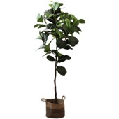 森空间仿真琴叶榕假树仿生绿植室内落地大型侘寂风格