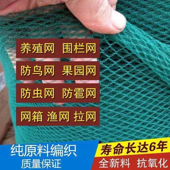 果园围栏防鸟网养鸡网禽养殖网樱桃树网塑料网果树防鸟网桃网