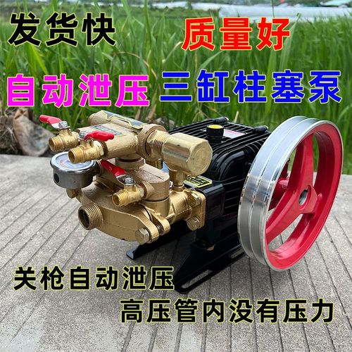 农用打药泵园林械设备动喷雾器雾化消毒养殖场洗泵