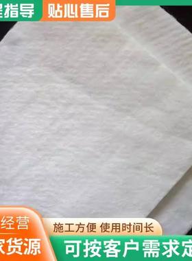 工箱布园艺透水渗KLG水白色无纺种菜植用滤种水花聚酯无土纺布工