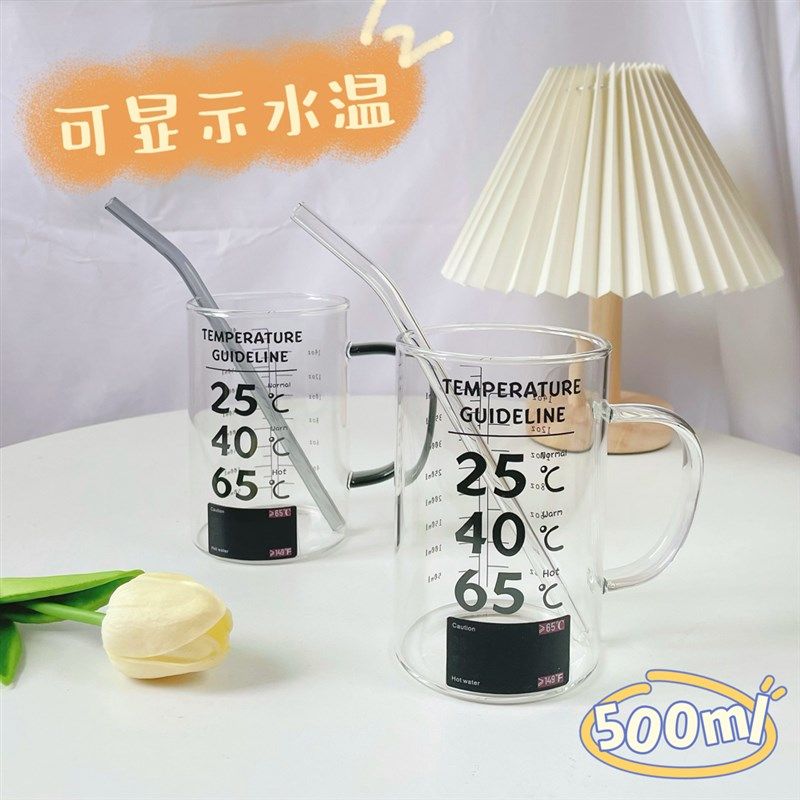 温度显示圆形杯硼硅带盖水杯刻度咖啡杯耐热泡茶杯