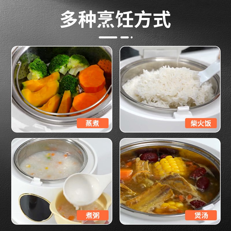 饭煲出口小家电粘锅迷你电煲锅小型电饭锅