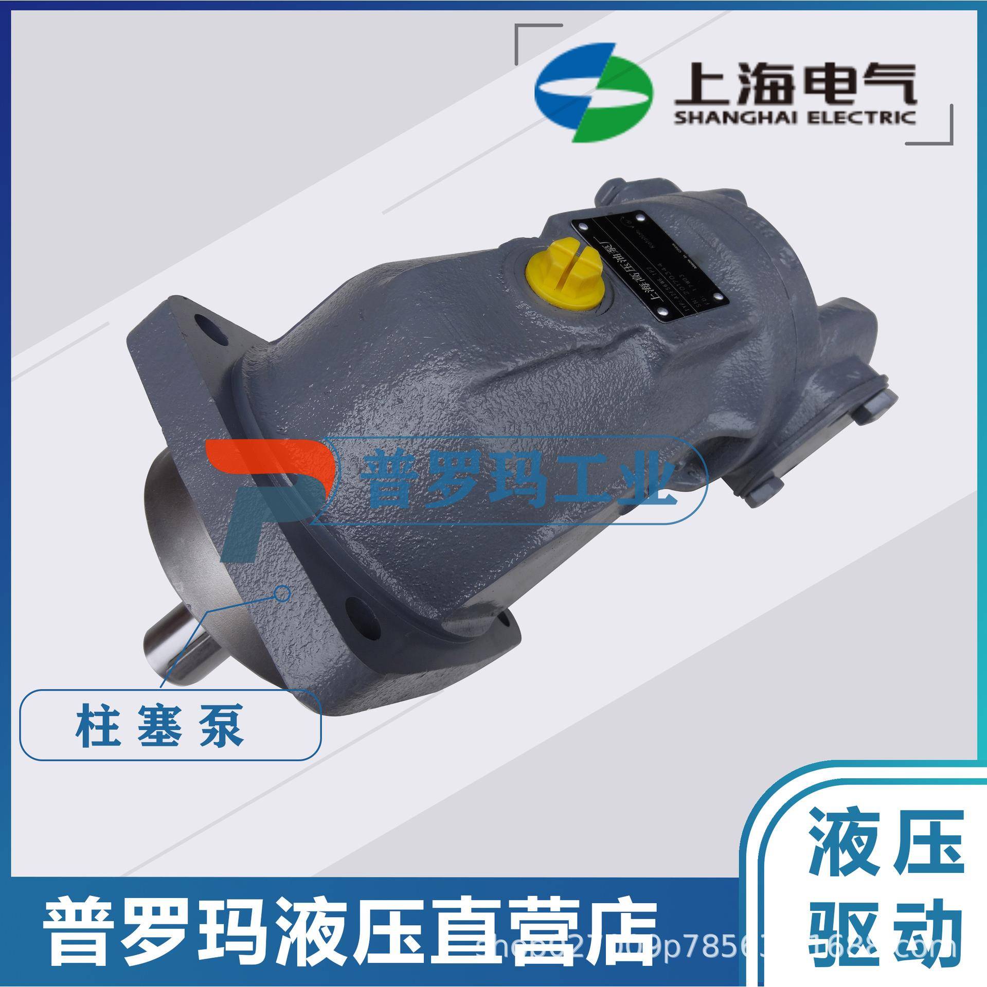 液压斜轴式柱塞泵马达A2F90R6.1P5A2F107A2F45W6.1油泵