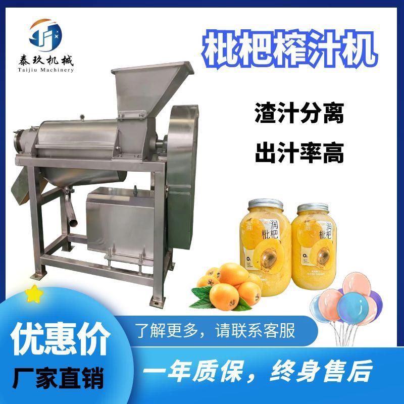 大型枇杷果肉榨汁机芒果螺旋出汁设备香瓜破碎取汁机器渣汁分离