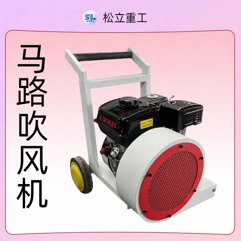 路面灰尘吹扫机多功能市政地面落叶清扫机器设备手推式马路吹风机