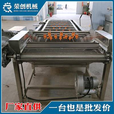 箭叶蓼中草药水循环清洗机304不锈钢去母气泡喷淋洗药机