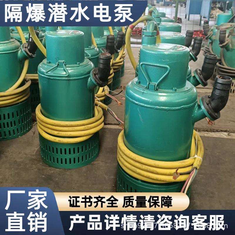 煤安证防爆潜水泵矿用隔爆型排污排沙潜水泵矿用潜水BQS40-40-11