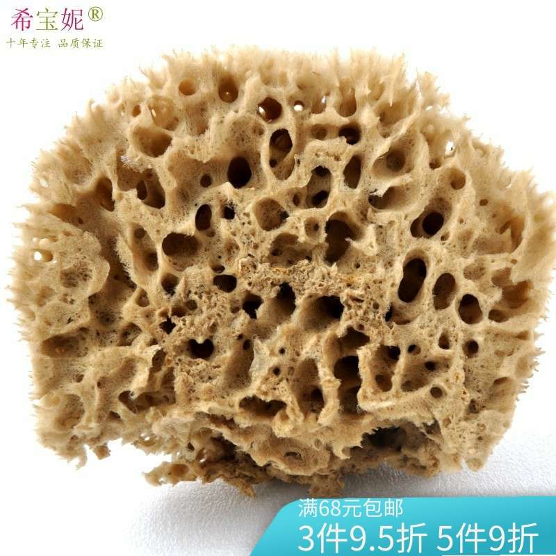 进口希腊天然海藻海绵蜂窝 艺术漆绘画擦色硅藻泥工具 非浴刷