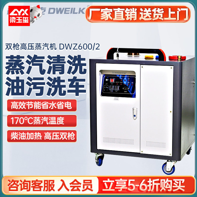 德威莱克DWZ600/2高压蒸汽清洗机工业 高温蒸汽洗车机器设备厂家