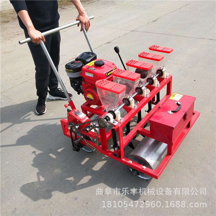 香菜籽播种机手推汽油式蔬菜种子播种机图片