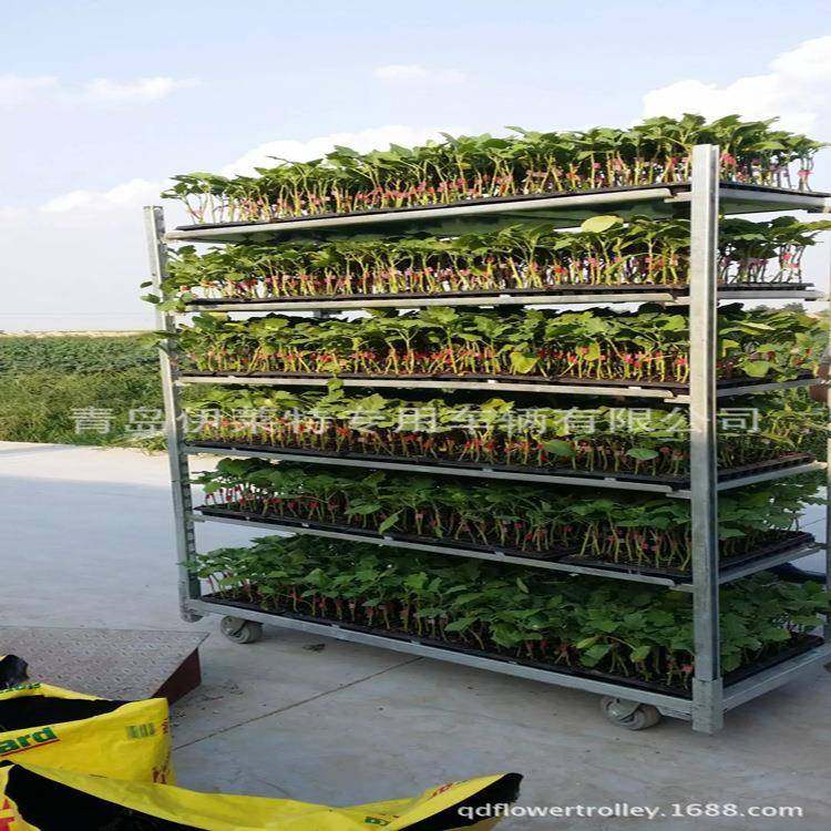 直销金属板花卉台车，手推多层花架车，苗圃台车层车不生锈,纺织面料/辅料/配套,纺织机械配件,淘宝优惠券,粉丝福利购,淘宝优惠卷
