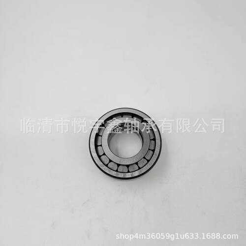 SL185010 SL185011 SL185012 SL185013 装满圆柱滚子轴承