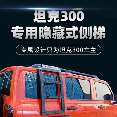坦克300专用车顶行李架行李框车顶架车顶筐旅行货架侧梯梯子爬梯