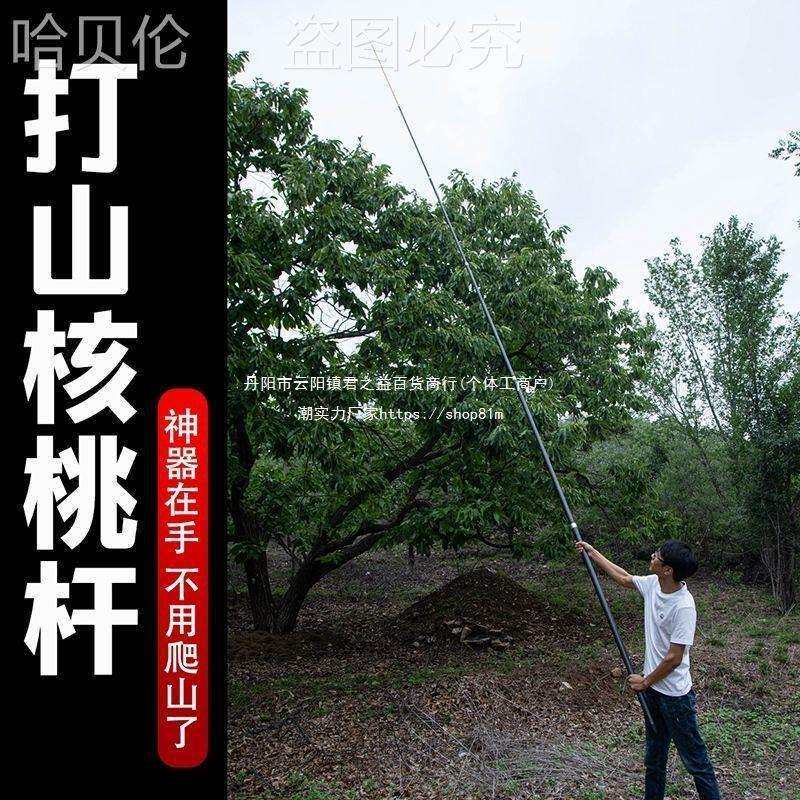 采腰果可伸缩松子超硬塔伸缩松树摘果器板栗山核桃打碳素杆子折叠