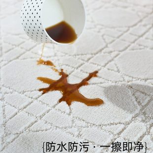 缔奢美客厅防水防污家用简约素色可擦免洗地毯卧室床边毯2023新款