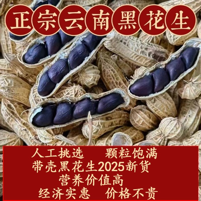 云南黑花生黑皮花生普洱2025新货