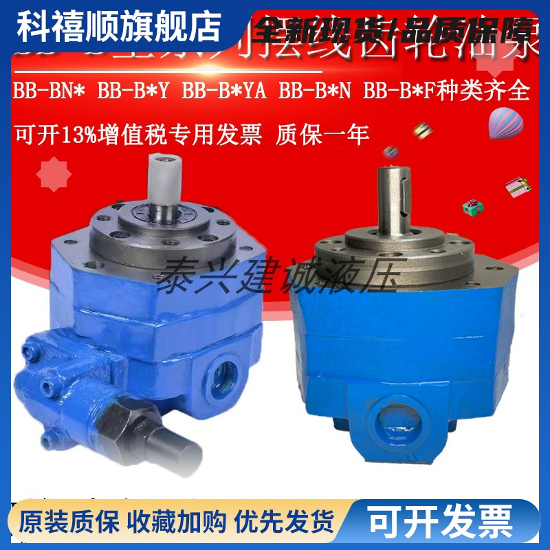 BB-B4 B10 B6 B16 B25 B32 B40 B50 B80 B63 B125N摆线齿轮油泵Y2