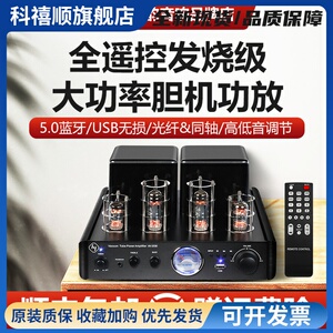 豪韵AV-2030R 发烧级hifi电子管胆机功放蓝牙5.0无损大功率功放机
