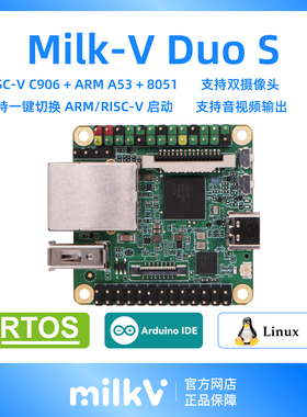 Milk-V Duo S 开发板 C906 RISC-V ARM 算能 SG2000 Arduino