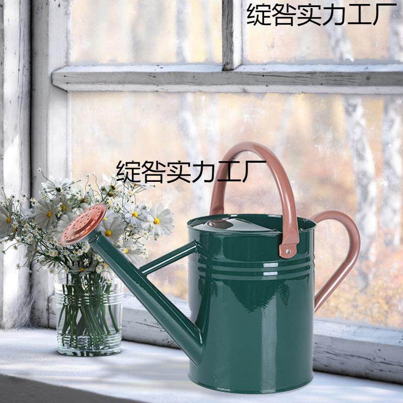 2025新款洒水壶欧美高品质洒水壶浇花壶两用4L高颜值大容量可