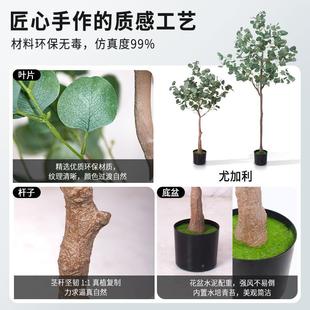 北欧风仿真尤加利树栽办公假植真金钱盆树仿真尤加尤加利绿植跨境