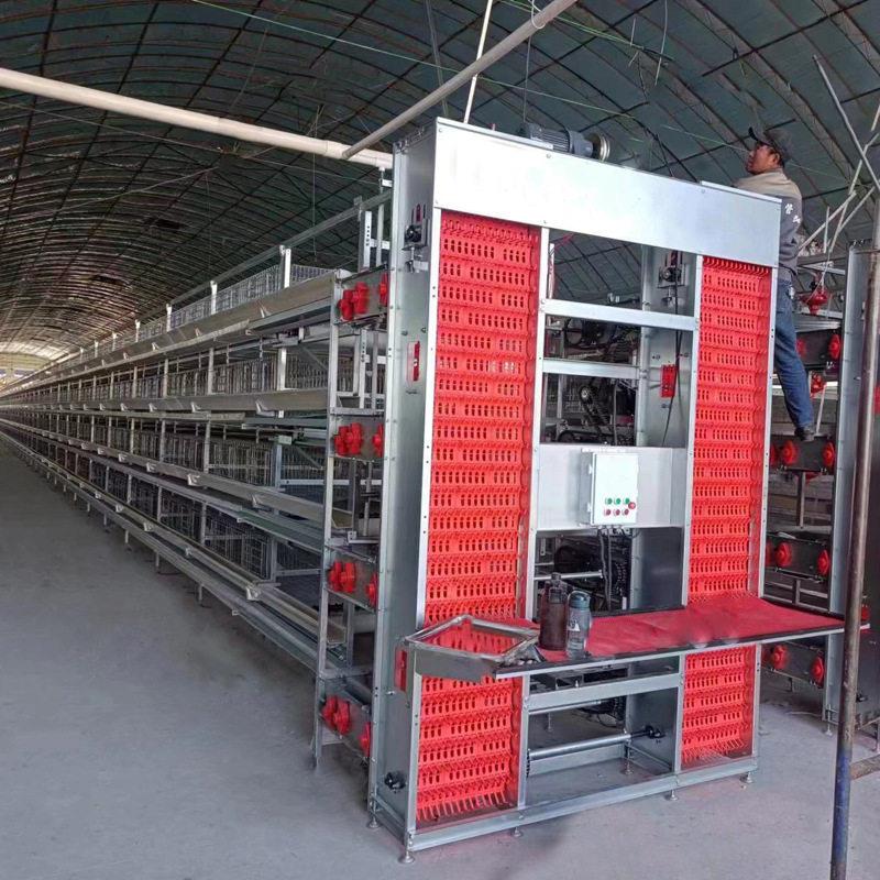 式厂家供应小层叠蛋鸡笼热自镀锌丝鸡笼动化LNZ捡蛋喂料清定粪设