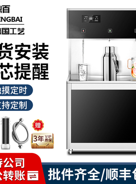 直饮水商用学校工厂医院幼儿园反渗透冷热体烧水水器