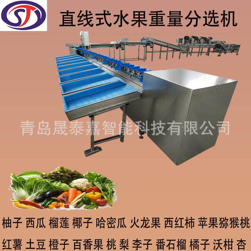 果冻橙分选机沙糖桔全自动分级机杨梅百香果挑选分等级机设备