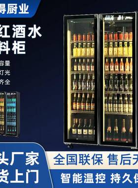 网红酒水柜保鲜冷藏柜酒吧冰柜超市商用便利店双门冷藏饮料柜