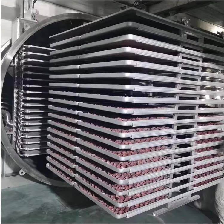 生冻干粉设备 加牡蛎肉冻干生工产工艺技WPI术 猫粮真空冻冷蚝干