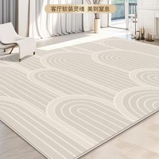 轻奢高级感防水可擦免洗家用防滑耐脏床边毯 地毯客厅加厚2024新款