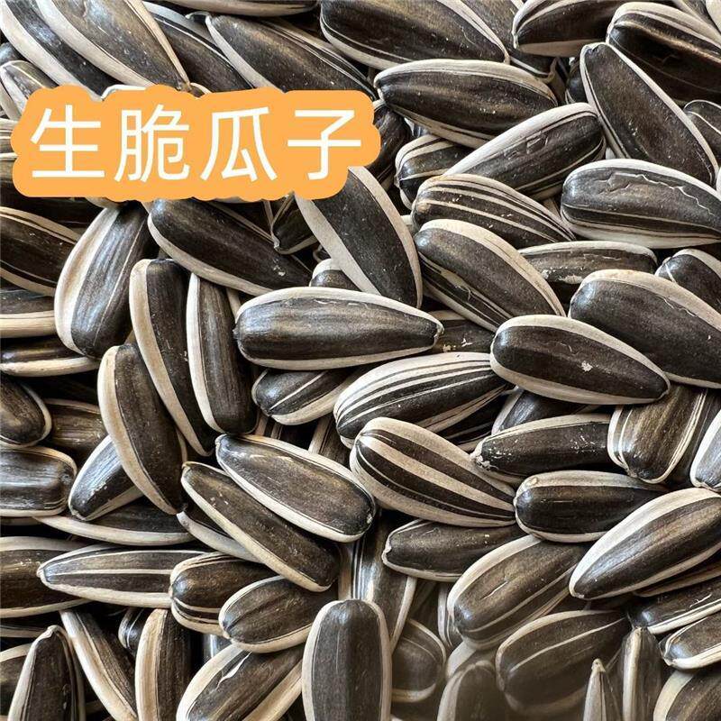 青IEK铜葵花生1脆瓜子原味薄大颗粒三分新熟货现炒葵花籽皮斤装包