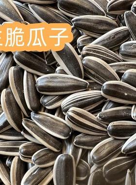 青IEK铜葵花生1脆瓜子原味薄大颗粒三分新熟货现炒葵花籽皮斤装包