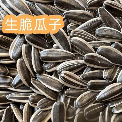 青IEK铜葵花生1脆瓜子原味薄大颗粒三分新熟货现炒葵花籽皮斤装包