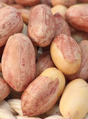 安徽无为特严产严桥李老生奶奶DAQ花生米正宗桥五香花一米件包邮