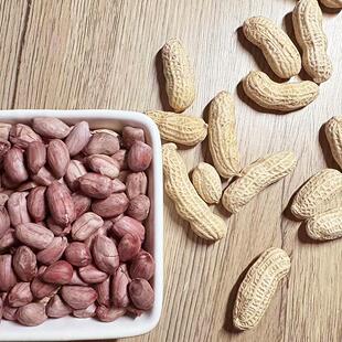 龙湿烤花生客PGE家楼紫土衣红衣花生湿考烤水岩煮花生旗舰店建福