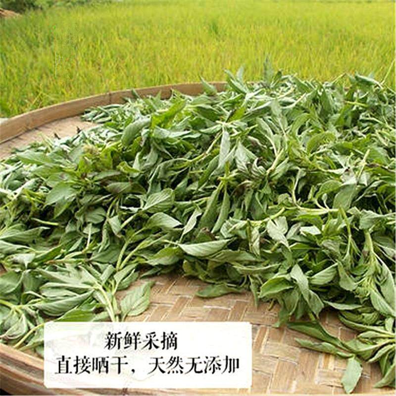 台全包邮国 晒VMK干九层塔 250袋装金g不换兰香罗勒叶泰式式料理