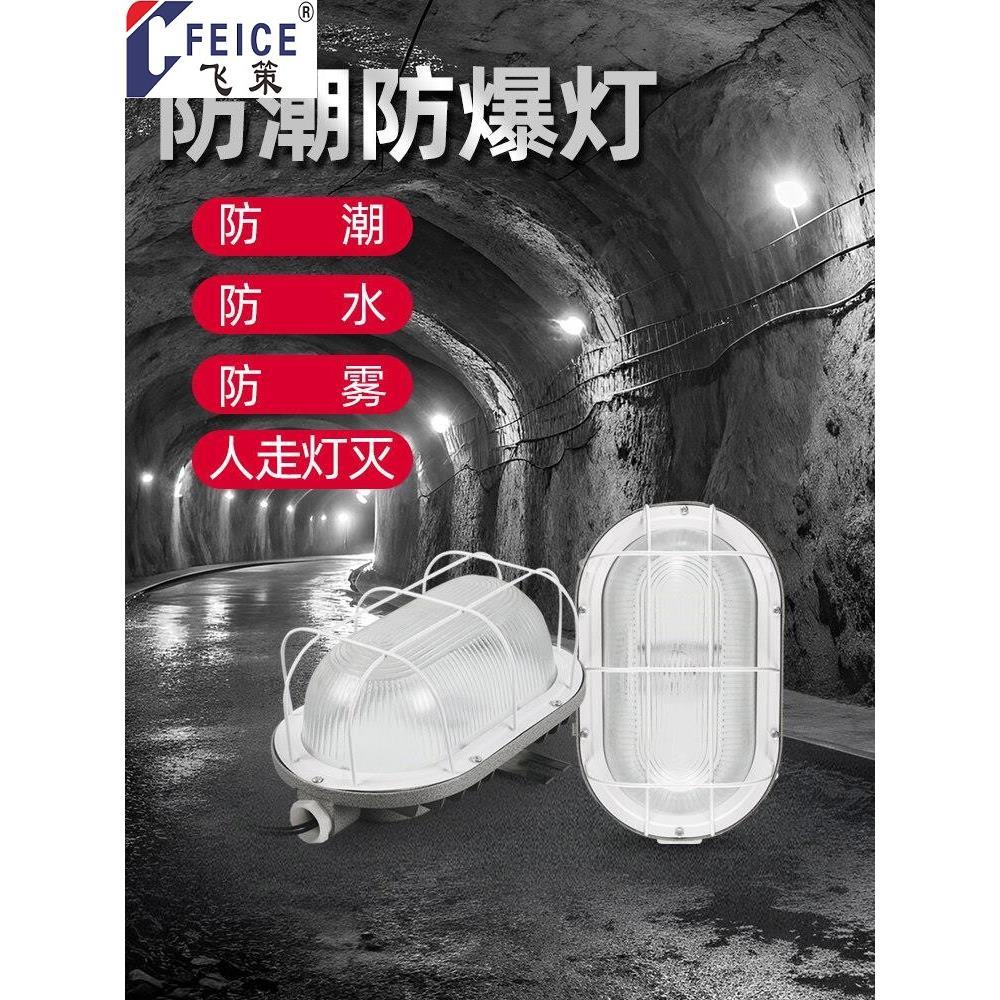 上海飞策防潮防爆灯壁挂声控感应吸顶led防水灯防雾贴墙三防配电