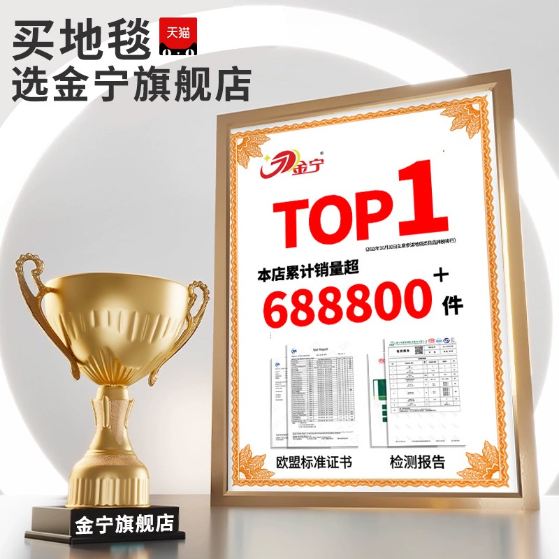 金宁圈绒满铺地毯大面积整铺卧室办公室摄影棚出租屋水泥地直接铺
